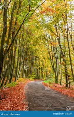 夢幻情天（0.1折扣版） 三國策略手游的網(wǎng)絡(luò)技術(shù)研發(fā)探秘